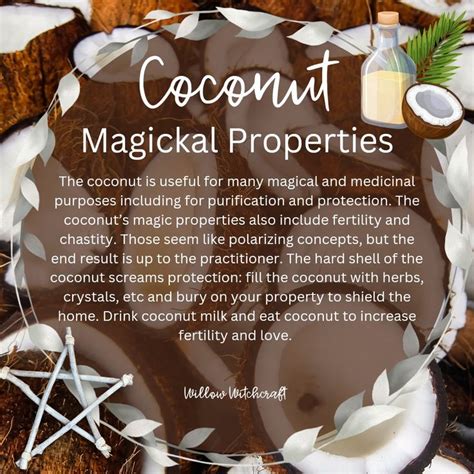 Indigo witchcraft coconut